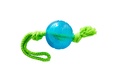Pet Interest Bolddons Training Toy For Medium Breed 32cm