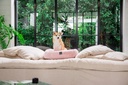 Fuzzyard Cuddler Pet Bed Pink Small