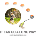 Pawise Tennis  ball  Launcher 31CM