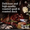 Taste of the Wild Lowland Creek Feline Dry Food