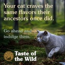 Taste of the Wild Lowland Creek Feline Dry Food