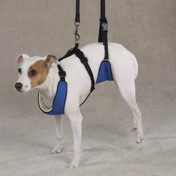 Guardian Gear Lift &amp; Lead 4in1 M Blu