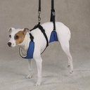 Guardian Gear Lift &amp; Lead 4in1 M Blu