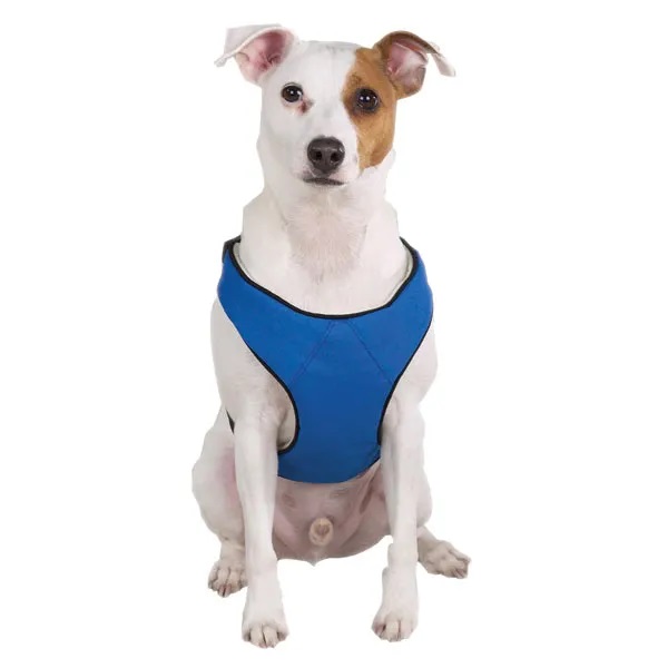 Guardian Gear Lift &amp; Lead 4in1 M Blu