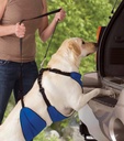Guardian Gear Lift &amp; Lead 4in1 XXL Blu