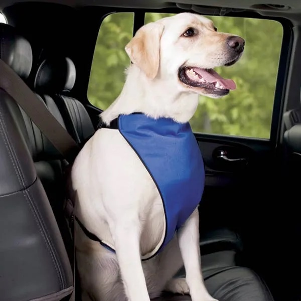 Guardian Gear Lift &amp; Lead 4in1 XXL Blu