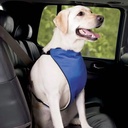 Guardian Gear Lift &amp; Lead 4in1 XXL Blu
