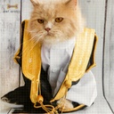 Traditional Eid Wear For Pets - Bisht