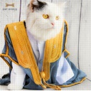 Traditional Eid Wear For Pets - Bisht