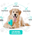 Pet Interest Catcus Dog Tooth Brush Toy Accua