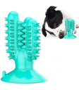Pet Interest Catcus Dog Tooth Brush Toy Accua