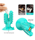 Pet Interest Catcus Dog Tooth Brush Toy Accua