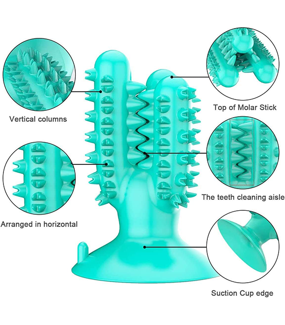 Pet Interest Catcus Dog Tooth Brush Toy Accua