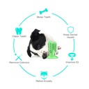Pet Interest Catcus Dog Tooth Brush Toy Green