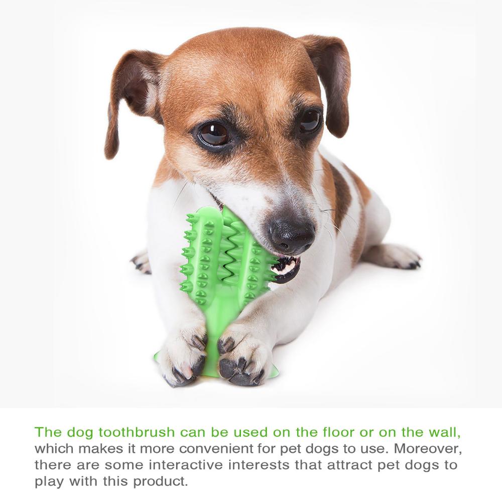 Pet Interest Catcus Dog Tooth Brush Toy Green