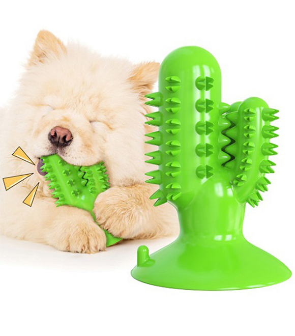 Pet Interest Catcus Dog Tooth Brush Toy Green