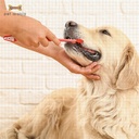 Pets.Love.Earth Dog And Puppy Dental Care Kit