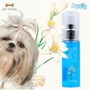 Purrify  Floral Essence Oil Spray Lily Fragrance 50Ml