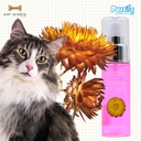 Purrify  Floral Essence Oil Spray Straw Flower 50Ml