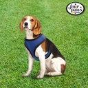Four Paws Comfort Control Harness
