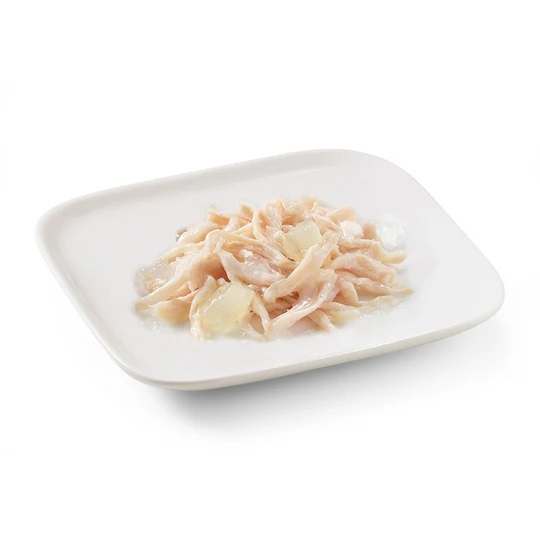 Schesir Can For Puppy with Chicken with Aloe In Jelly 150g