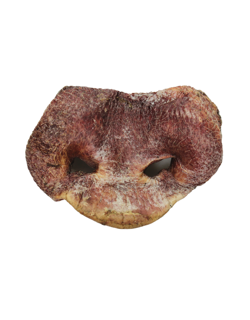 Vital Essentials Raw Bar Pig Snouts 1 Pc