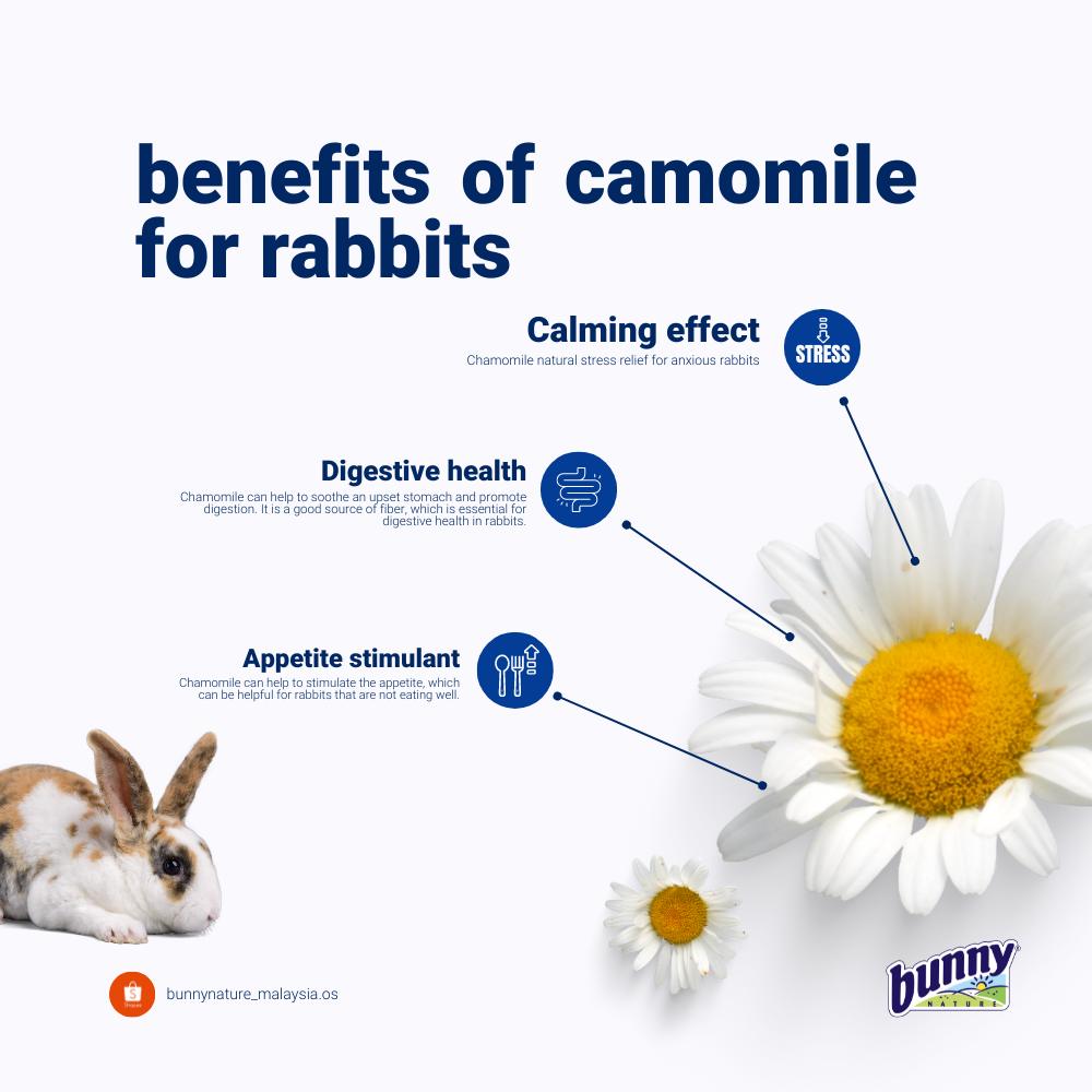 Bunny Nature Fresh Grass Hay Chamomile - 500 g