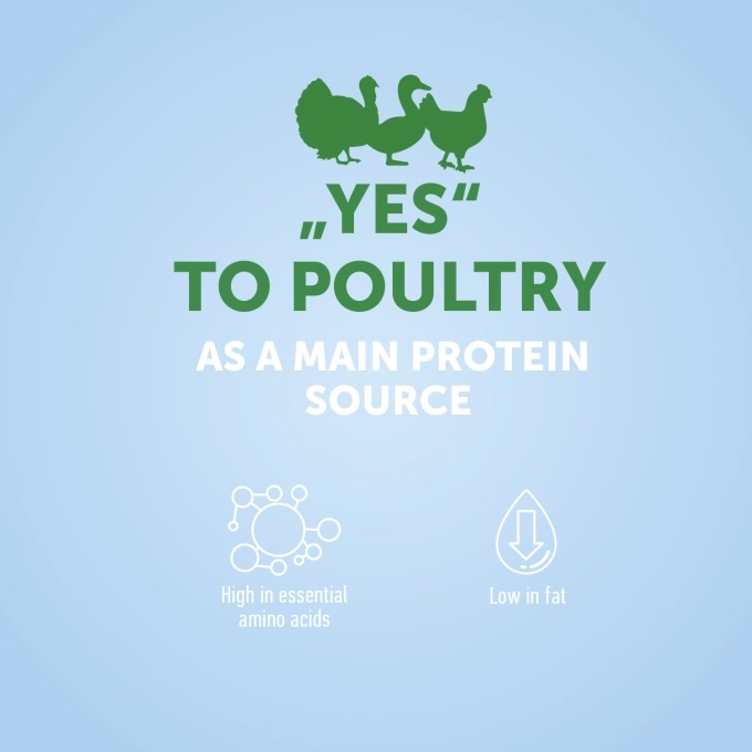 Nature's Protection Kitten Poultry with krill 2 kg