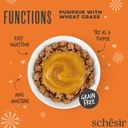 Schesir Functions Digestive Topper Pumkin with Wheat Grass 40g