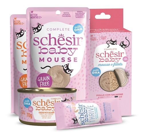 Schesir Baby Kitten Can Chicken with Salmon in Broth 70g