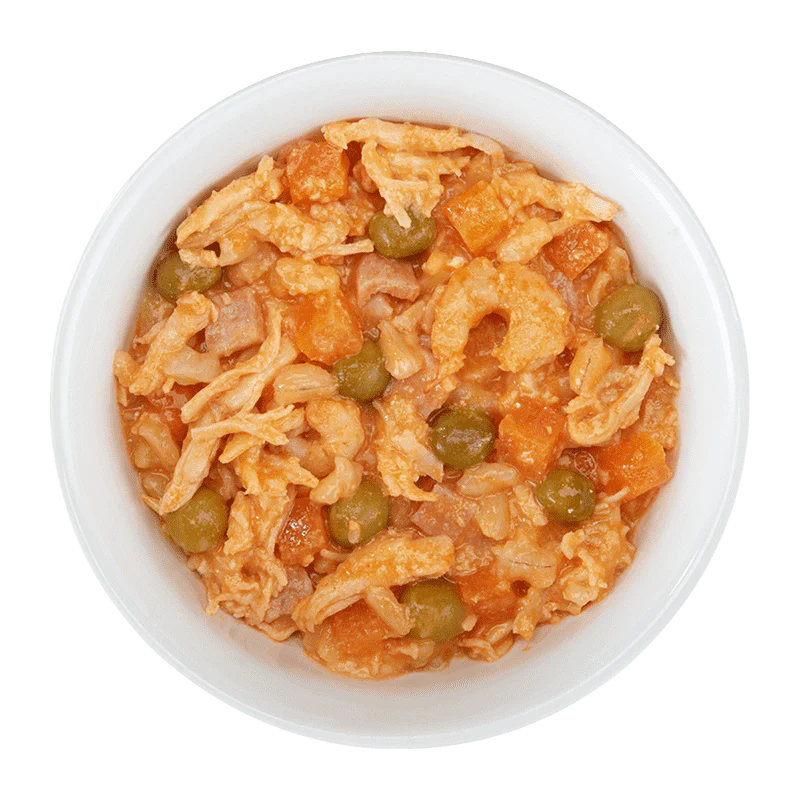 Schesir Taste The World Can For Dog Chicken with Paella 150g