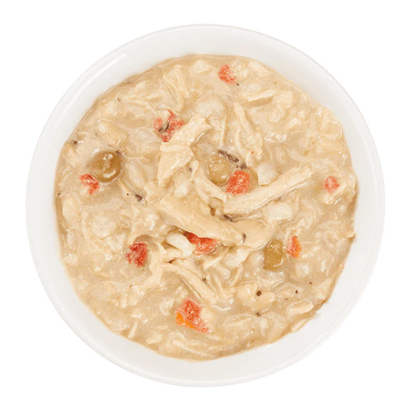 Schesir Taste The World Can For Dog Thai Coconut Chicken 150g