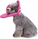 Pets.Love.Earth Flower Shaped Pet Recovery E-Collar  Purple