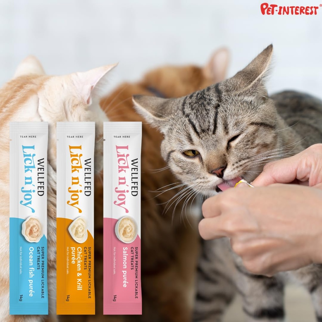 Pet Interest Wellfed Lick N’ Joy Combo Pack (12x14g) For Cat