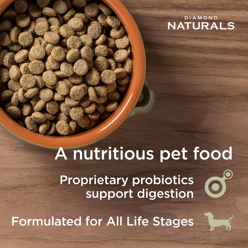 Diamond Natural Skin and Coat For All Life Stage Dog