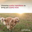 Diamond Natural Skin and Coat For All Life Stage Dog