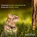 Diamond Naturals Indoor Cat Formula 3kg