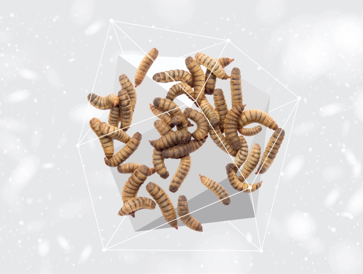 Nature's Protection Superior Care Red Coat Supplemental Snack Gums & Oral Care with Insects For Junior Dogs 150g