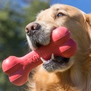 Kong Planet Goodie Bone Medium Red
