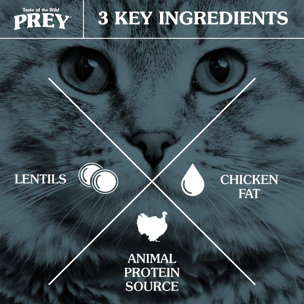 Taste of the Wild Prey Turkey Recipe For Cats 2.72kg