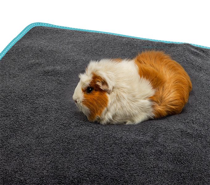 Bunny Nature Bedding Easy- Turquoise