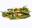 Bunny Nature Shuttle Guinea Pig-600g