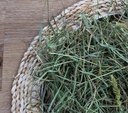 Bunny My Favorite Pure Hay For Dwarf Rabbits and Rodents 100g