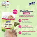 Bunny Nature Rabbit Dream Young