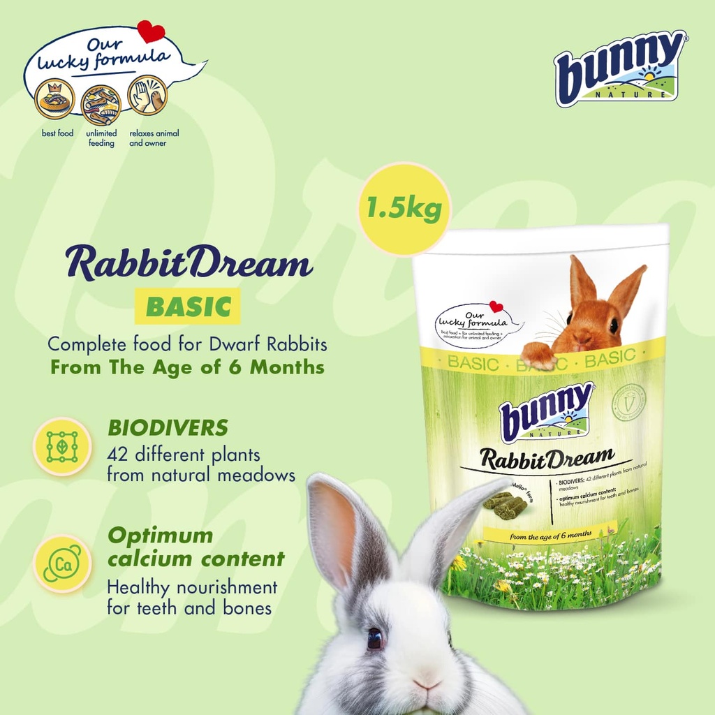 Bunny Nature Rabbit Dream Basic