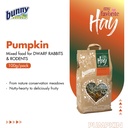 Bunny My Favorite Hay Pumkin For Dwarf Rabbits and Rodents 100g