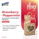 Bunny My Favorite Hay Strawberry &amp; Peppermint For Dwarf Rabbits and Rodents 100g