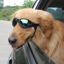 UV Sunglass For Cats and Dogs