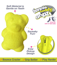 Nylabone Tennis Bear Dog Toy