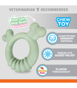 Nylabone Tactle Ring Chicken Flr Chew Dog Toy for Puppy